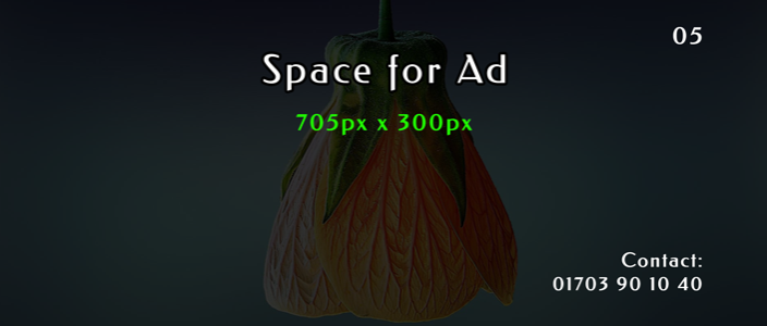 Home Page Slider Bellow Ad_5